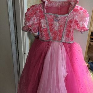 Disney Princess Dress